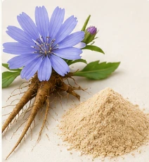 CelluFend Ingredient Chicory Inulin (Cichorium intybus root)